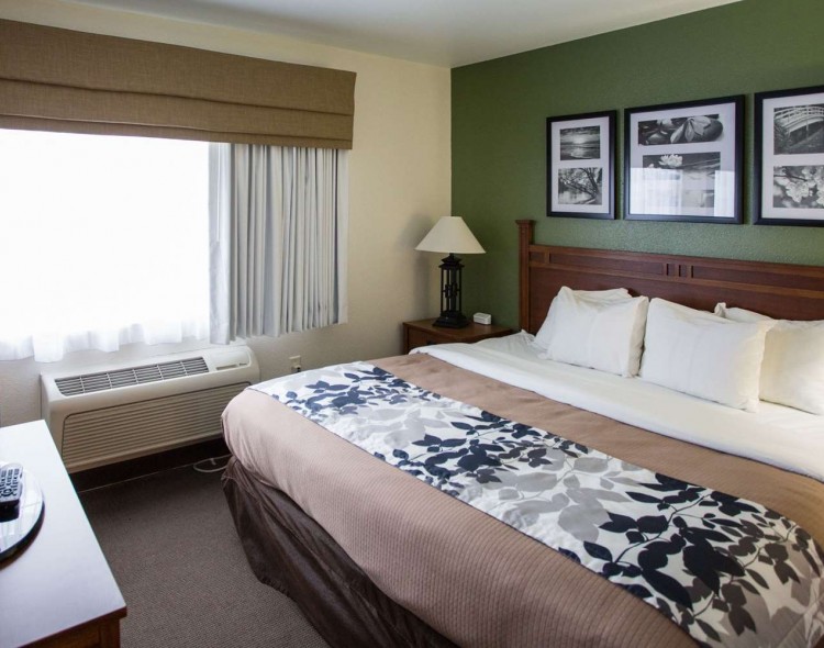 hotel room hotel room